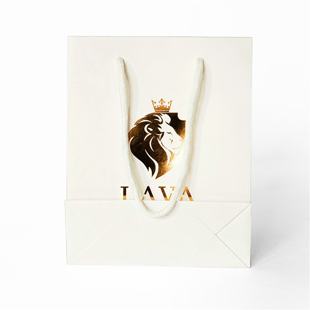 210g C1S paper bag with foil imprint on all sides (10*13*5")