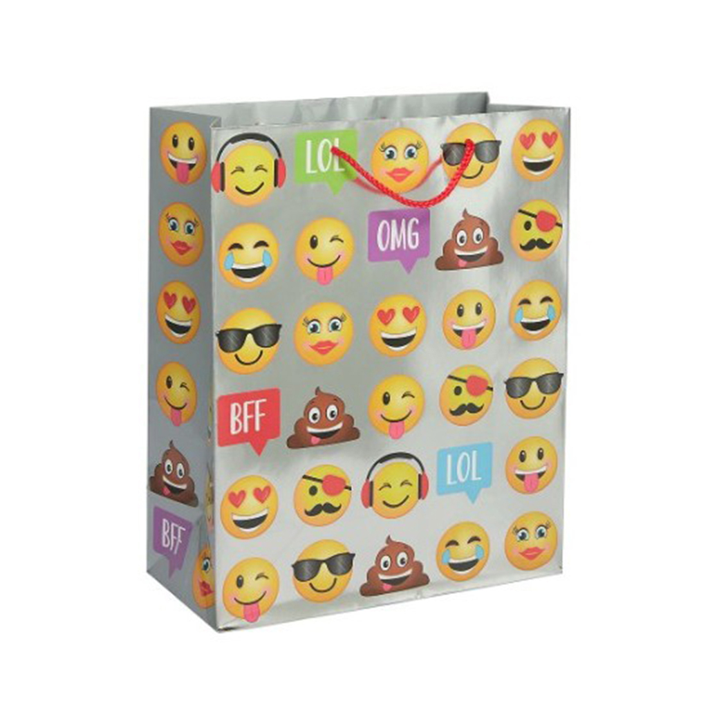 250g C1S paper bag with full color imprint on all sides (10*13*5")