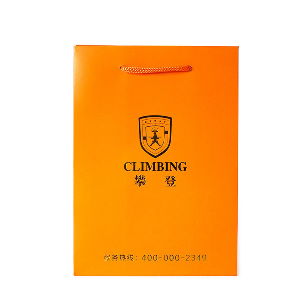 210g C1S paper bag with foil imprint on all sides (8.25*10.5*4")