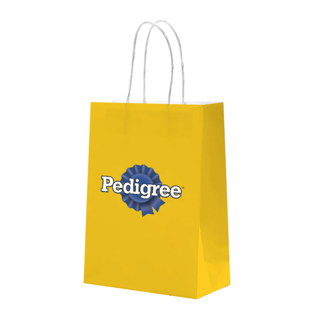 235g Card Paper bag with full color imprint on all sides (5.25*8.25*3.25")